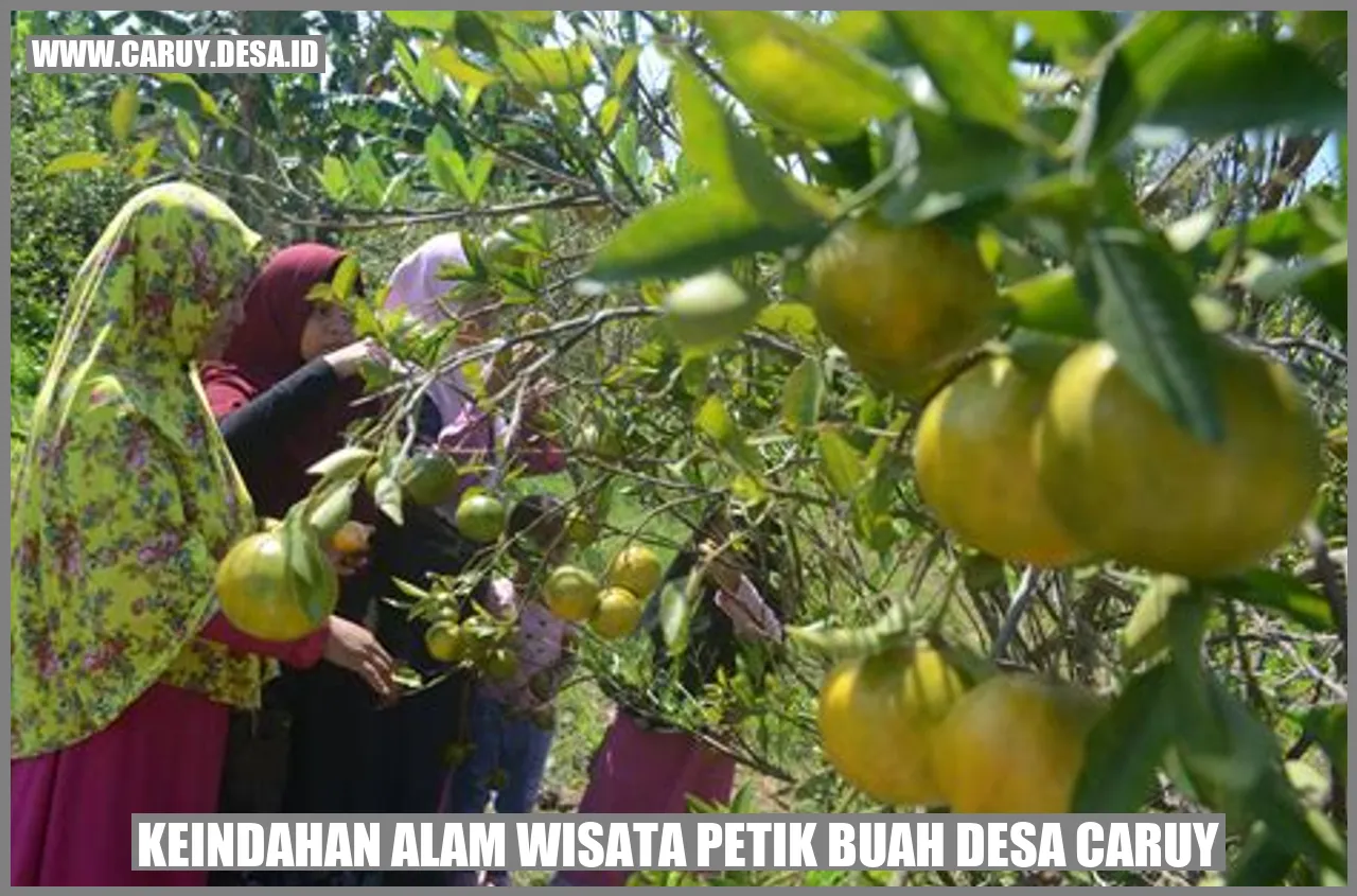 Keindahan Alam Wisata Petik Buah Desa caruy